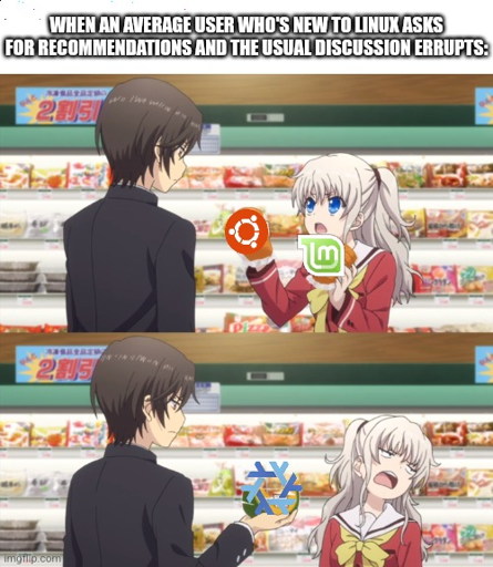 Caption: "When an average user who's new to Linux asks for recommendations and the usual discussion errupts".
Below two panels from an anime where first a girl holds up two grocery items (in this case two Linux distributions known to be very user friendly, Mint and Ubuntu). Then the guy holds up a single item that's NixOS, a highly technical distribution aimed at enthusiasts and professionals.